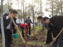 ������ֲ��