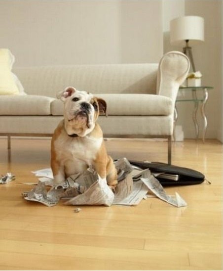 �������Д[�O��ԓ�M������һЩ���F�ء���Ʒ